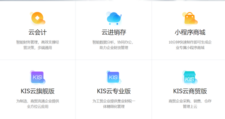 金蝶 中国企业软件领域的守门人与革新者